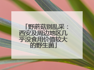 野蘑菇别乱采：西安及周边地区几乎没食用价值较大的野生菌