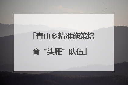 青山乡精准施策培育“头雁”队伍