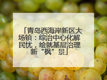 青岛西海岸新区大场镇：综治中心化解民忧，绘就基层治理新“枫”景