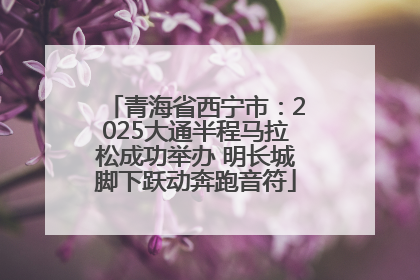 青海省西宁市：2025大通半程马拉松成功举办 明长城脚下跃动奔跑音符