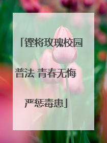 铿将玫瑰校园普法 青春无悔严惩毒患