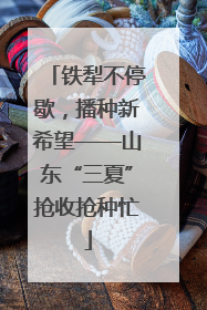 铁犁不停歇，播种新希望——山东“三夏”抢收抢种忙