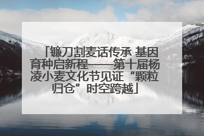 镰刀割麦话传承 基因育种启新程——第十届杨凌小麦文化节见证“颗粒归仓”时空跨越