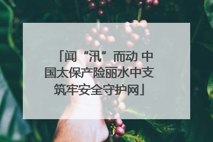 闻“汛”而动 中国太保产险丽水中支筑牢安全守护网