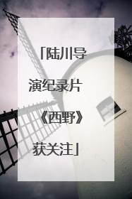 陆川导演纪录片《西野》获关注