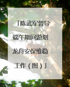 陈武军督导端午期间游划龙舟安保维稳工作（图）