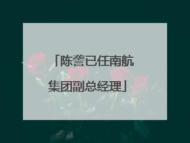 陈詟已任南航集团副总经理