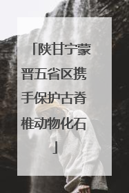 陕甘宁蒙晋五省区携手保护古脊椎动物化石
