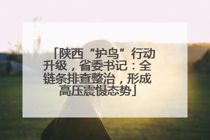 陕西“护鸟”行动升级，省委书记：全链条排查整治，形成高压震慑态势