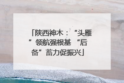 陕西神木：“头雁”领航强根基 “后备”蓄力促振兴