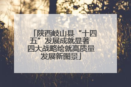 陕西岐山县“十四五”发展成就显著 四大战略绘就高质量发展新图景