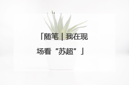 随笔｜我在现场看“苏超”