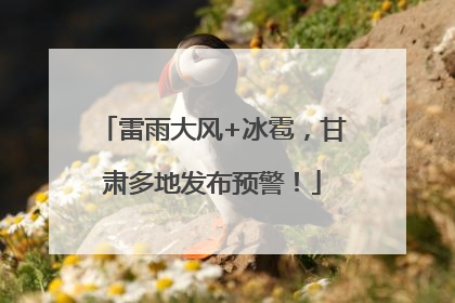 雷雨大风+冰雹，甘肃多地发布预警！