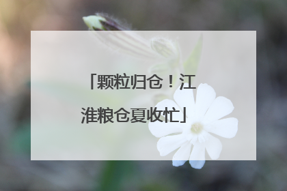 颗粒归仓！江淮粮仓夏收忙