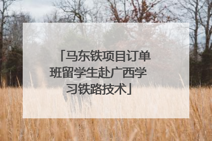 马东铁项目订单班留学生赴广西学习铁路技术