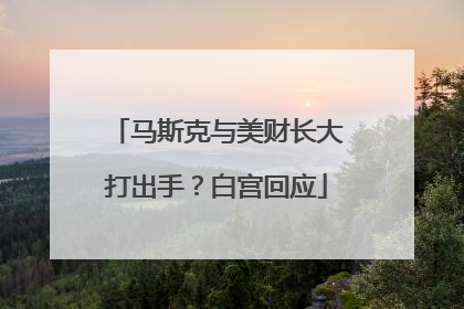 马斯克与美财长大打出手？白宫回应