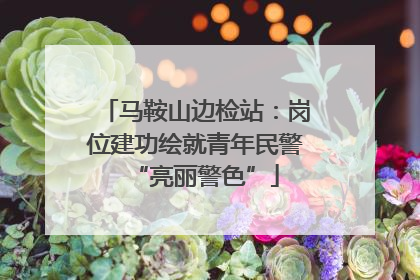 马鞍山边检站：岗位建功绘就青年民警“亮丽警色”