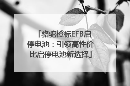 骆驼橙标EFB启停电池：引领高性价比启停电池新选择