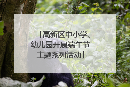 高新区中小学、幼儿园开展端午节主题系列活动