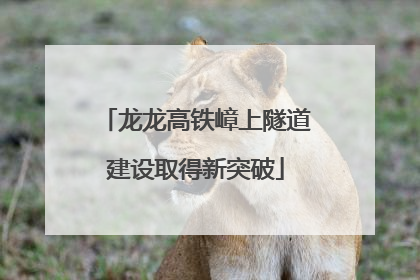 龙龙高铁嶂上隧道建设取得新突破