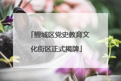 鲤城区党史教育文化街区正式揭牌