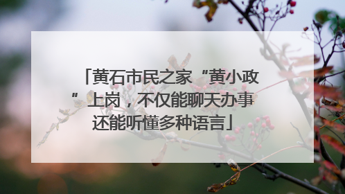 黄石市民之家“黄小政”上岗，不仅能聊天办事还能听懂多种语言