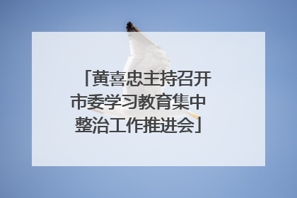 黄喜忠主持召开市委学习教育集中整治工作推进会