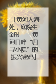 黄河入海处，庭院生金时——黄河口畔“归寻小院”的振兴密码