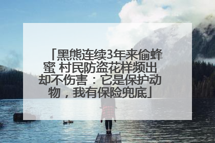 黑熊连续3年来偷蜂蜜 村民防盗花样频出却不伤害：它是保护动物，我有保险兜底