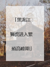 黑龙江：狮虎进入繁殖高峰期