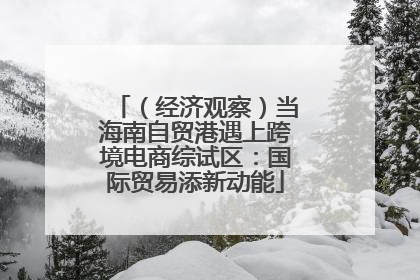 （经济观察）当海南自贸港遇上跨境电商综试区：国际贸易添新动能