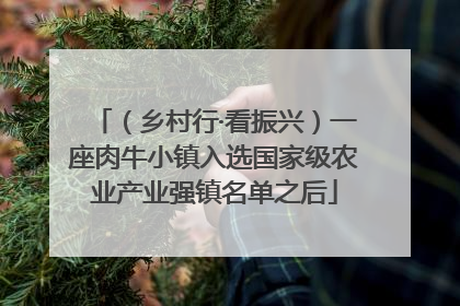 （乡村行·看振兴）一座肉牛小镇入选国家级农业产业强镇名单之后