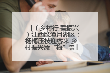 （乡村行·看振兴）江西鹰潭月湖区：杨梅压枝迎客来 乡村振兴添“梅”景