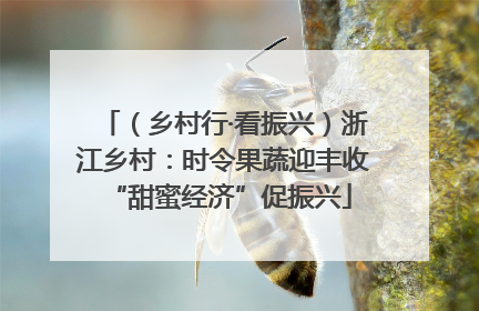 （乡村行·看振兴）浙江乡村：时令果蔬迎丰收 “甜蜜经济”促振兴