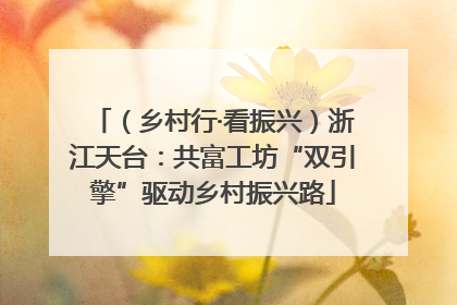 （乡村行·看振兴）浙江天台：共富工坊“双引擎”驱动乡村振兴路