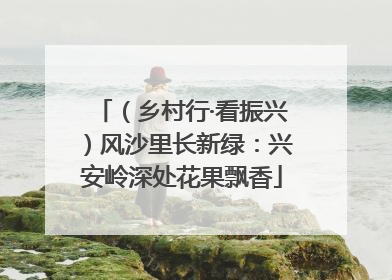 （乡村行·看振兴）风沙里长新绿：兴安岭深处花果飘香