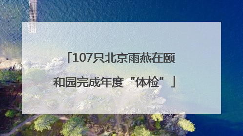 107只北京雨燕在颐和园完成年度“体检”