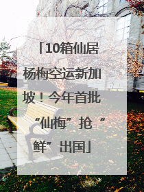 10箱仙居杨梅空运新加坡！今年首批“仙梅”抢“鲜”出国