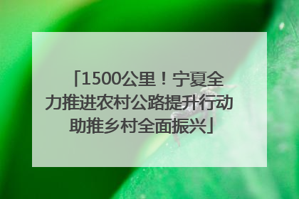 1500公里！宁夏全力推进农村公路提升行动 助推乡村全面振兴