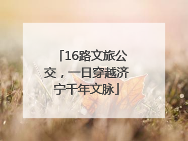 16路文旅公交，一日穿越济宁千年文脉