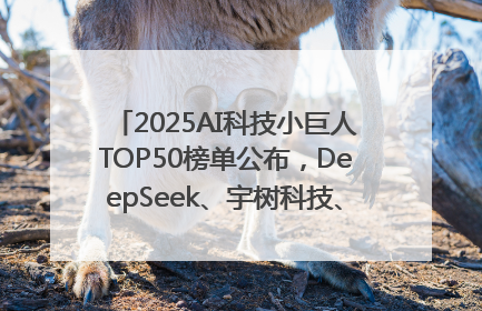 2025AI科技小巨人TOP50榜单公布，DeepSeek、宇树科技、蘑菇车联等企业荣誉上榜