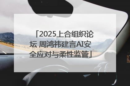 2025上合组织论坛 周鸿祎建言AI安全应对与柔性监管