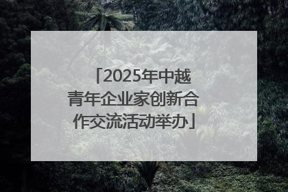 2025年中越青年企业家创新合作交流活动举办
