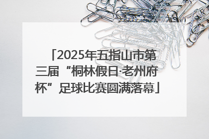 2025年五指山市第三届“桐林假日·老州府杯”足球比赛圆满落幕