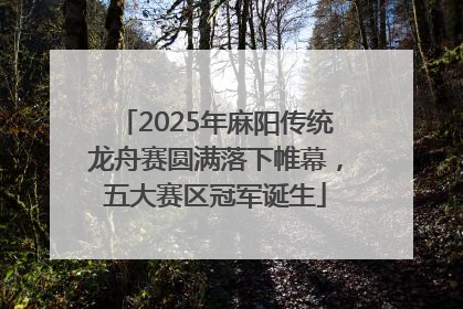 2025年麻阳传统龙舟赛圆满落下帷幕，五大赛区冠军诞生