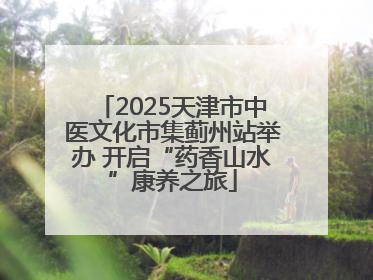 2025天津市中医文化市集蓟州站举办 开启“药香山水”康养之旅