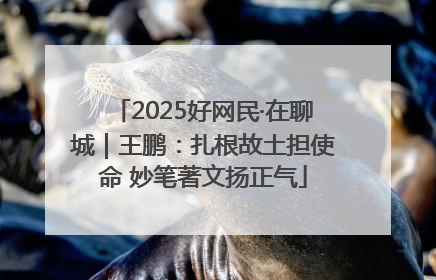 2025好网民·在聊城｜王鹏：扎根故土担使命 妙笔著文扬正气