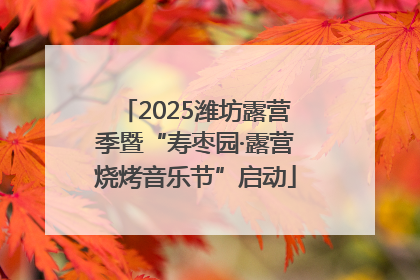 2025潍坊露营季暨“寿枣园·露营烧烤音乐节”启动