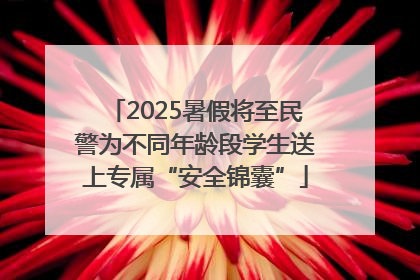 2025暑假将至民警为不同年龄段学生送上专属“安全锦囊”