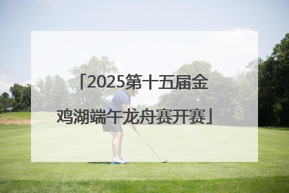 2025第十五届金鸡湖端午龙舟赛开赛